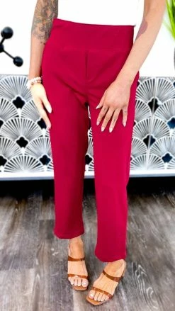 The ZigZag Stripe Burgundy Higher Standards Pants