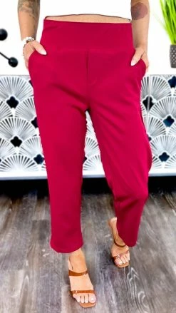 The ZigZag Stripe Burgundy Higher Standards Pants