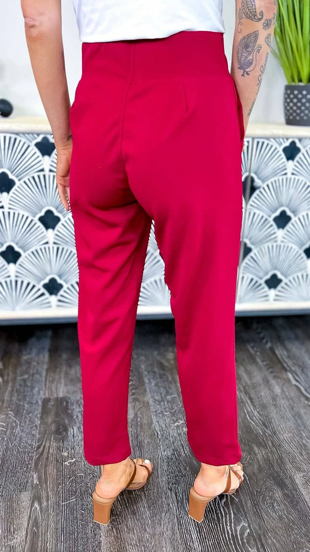 The ZigZag Stripe Burgundy Higher Standards Pants