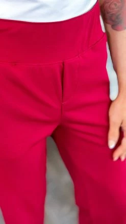 The ZigZag Stripe Burgundy Higher Standards Pants