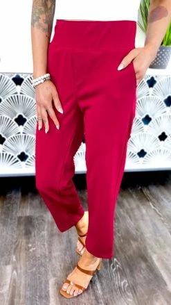 The ZigZag Stripe Burgundy Higher Standards Pants