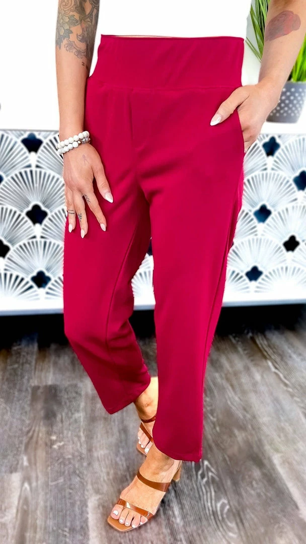 The ZigZag Stripe Burgundy Higher Standards Pants