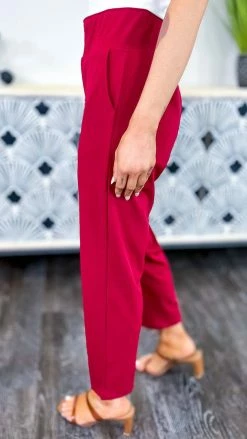 The ZigZag Stripe Burgundy Higher Standards Pants