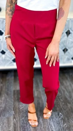 The ZigZag Stripe Burgundy Higher Standards Pants