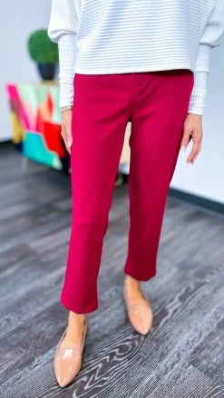 The ZigZag Stripe Burgundy Higher Standards Pants
