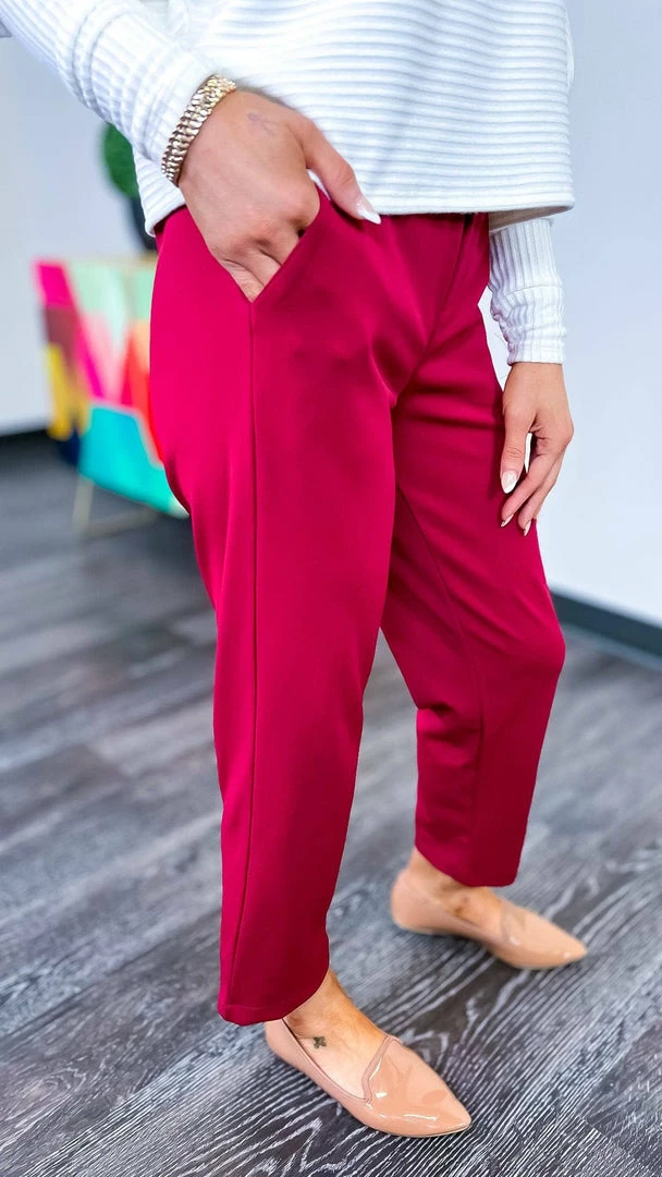 The ZigZag Stripe Burgundy Higher Standards Pants