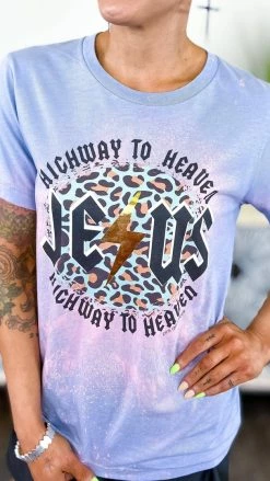 Pink Armadillos Highway To Heaven Tee