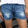 Judy Blue 15208 Shorts