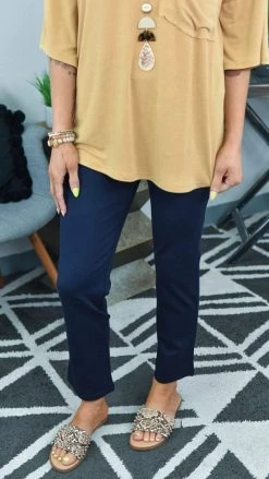 The ZigZag Stripe Navy Basic Ponte Pants