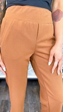 The ZigZag Stripe Nutmeg Higher Standards Pants