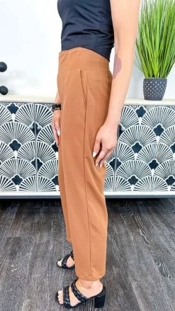 The ZigZag Stripe Nutmeg Higher Standards Pants