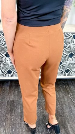 The ZigZag Stripe Nutmeg Higher Standards Pants