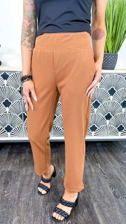 The ZigZag Stripe Nutmeg Higher Standards Pants