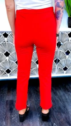 The ZigZag Stripe BOTTOMS Red Basic Ponte Pants