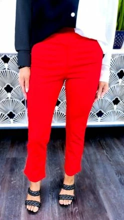 The ZigZag Stripe BOTTOMS Red Basic Ponte Pants