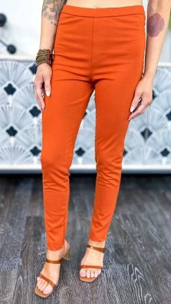 The ZigZag Stripe BOTTOMS Rust Skinny Ponte Pants