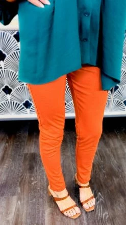 The ZigZag Stripe BOTTOMS Rust Skinny Ponte Pants