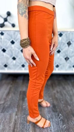 The ZigZag Stripe BOTTOMS Rust Skinny Ponte Pants