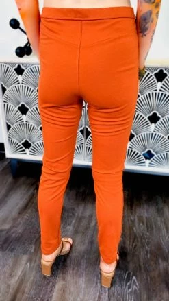 The ZigZag Stripe BOTTOMS Rust Skinny Ponte Pants