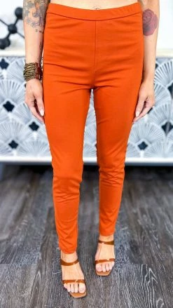 The ZigZag Stripe BOTTOMS Rust Skinny Ponte Pants