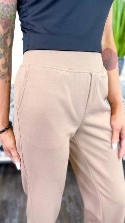 The ZigZag Stripe Taupe Higher Standards Pants BOTTOMS