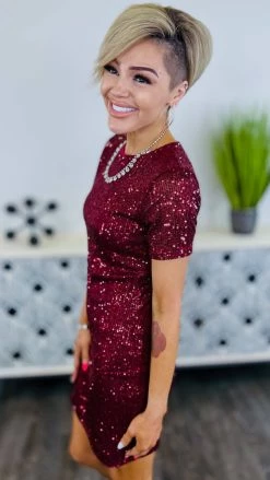 The ZigZag Stripe Wine Power Pose Dress DRESSES